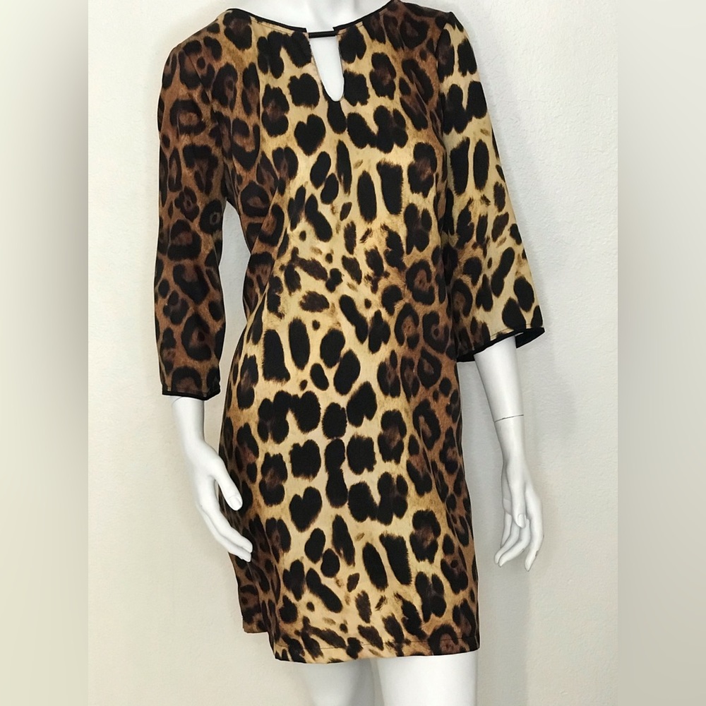 Zara Leopard Print Mini Dress